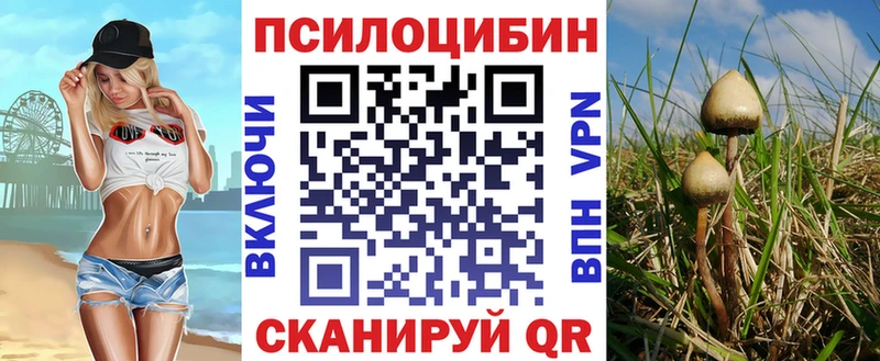 Галлюциногенные грибы ЛСД  hydra вход  Братск 